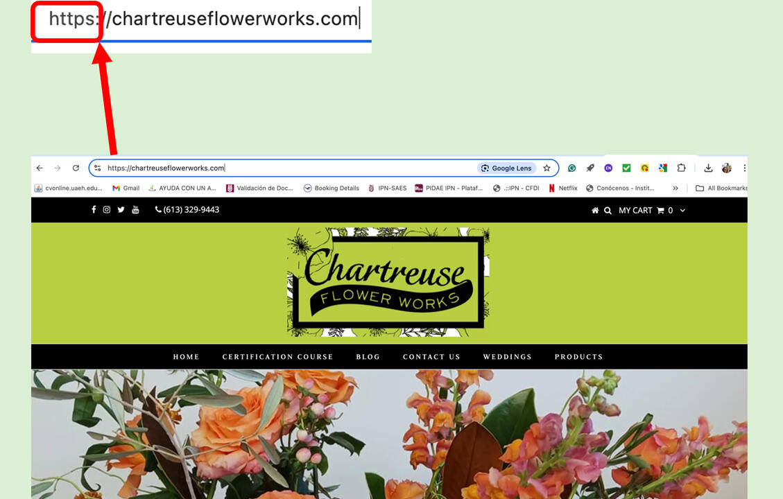 Green background with red arrow signing