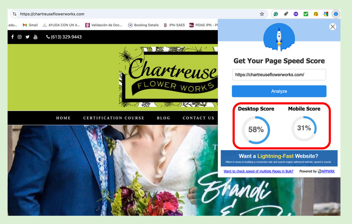 green screenshot with black and blue short graphic score